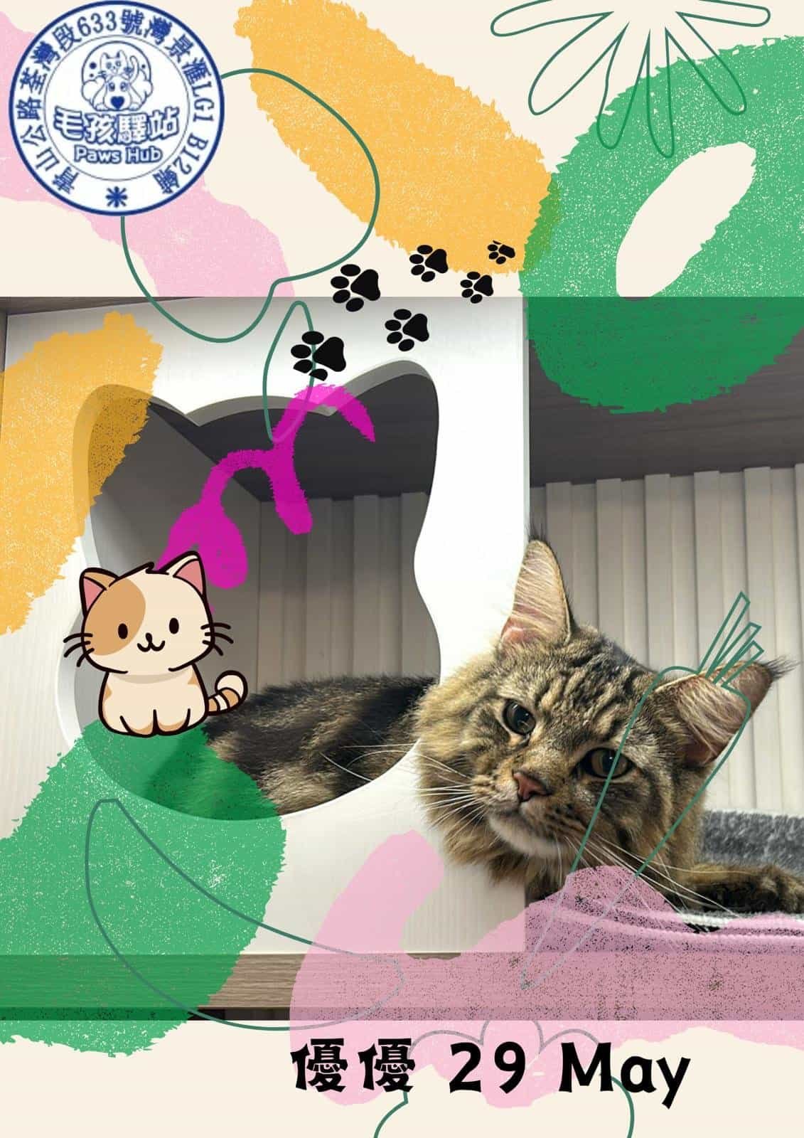 Cat Group No.01