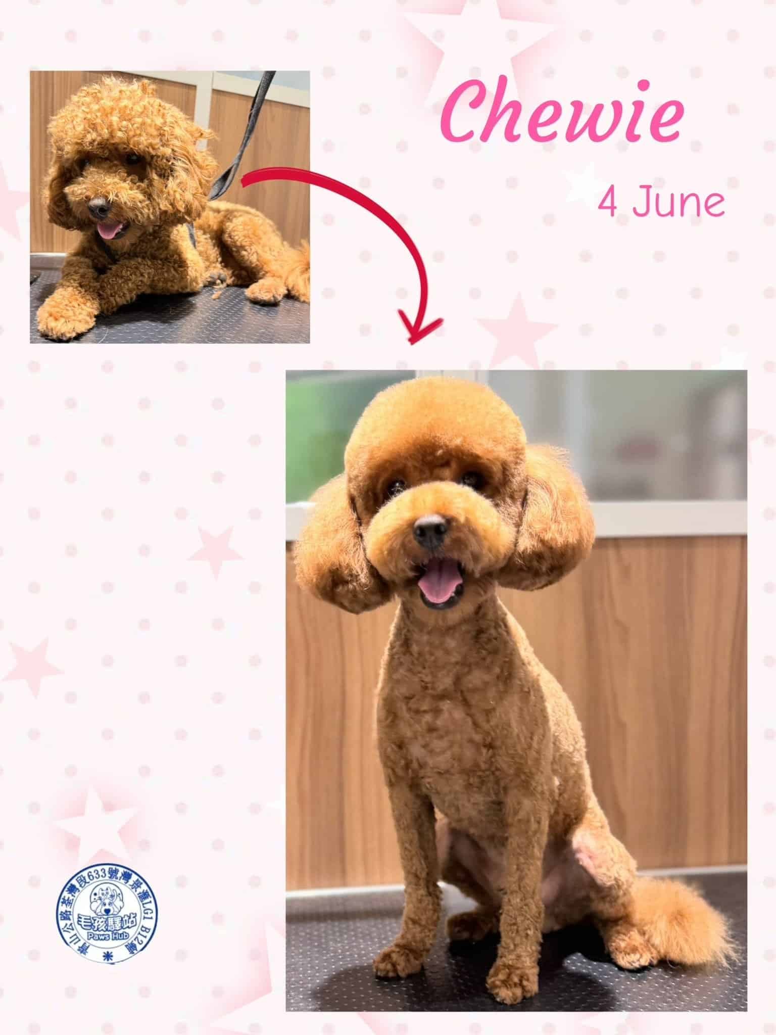 Dog Group No.09