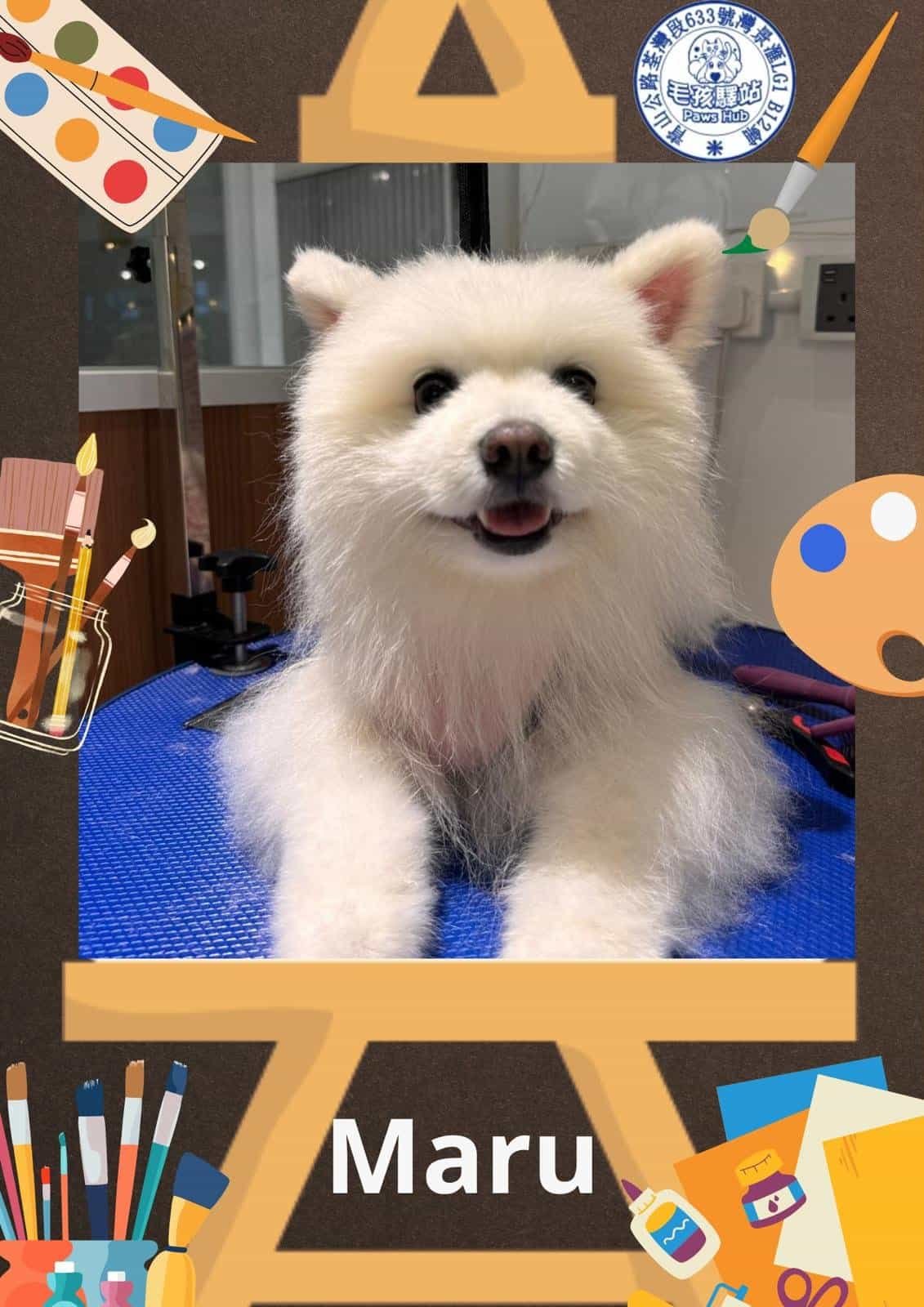Dog Group No.16