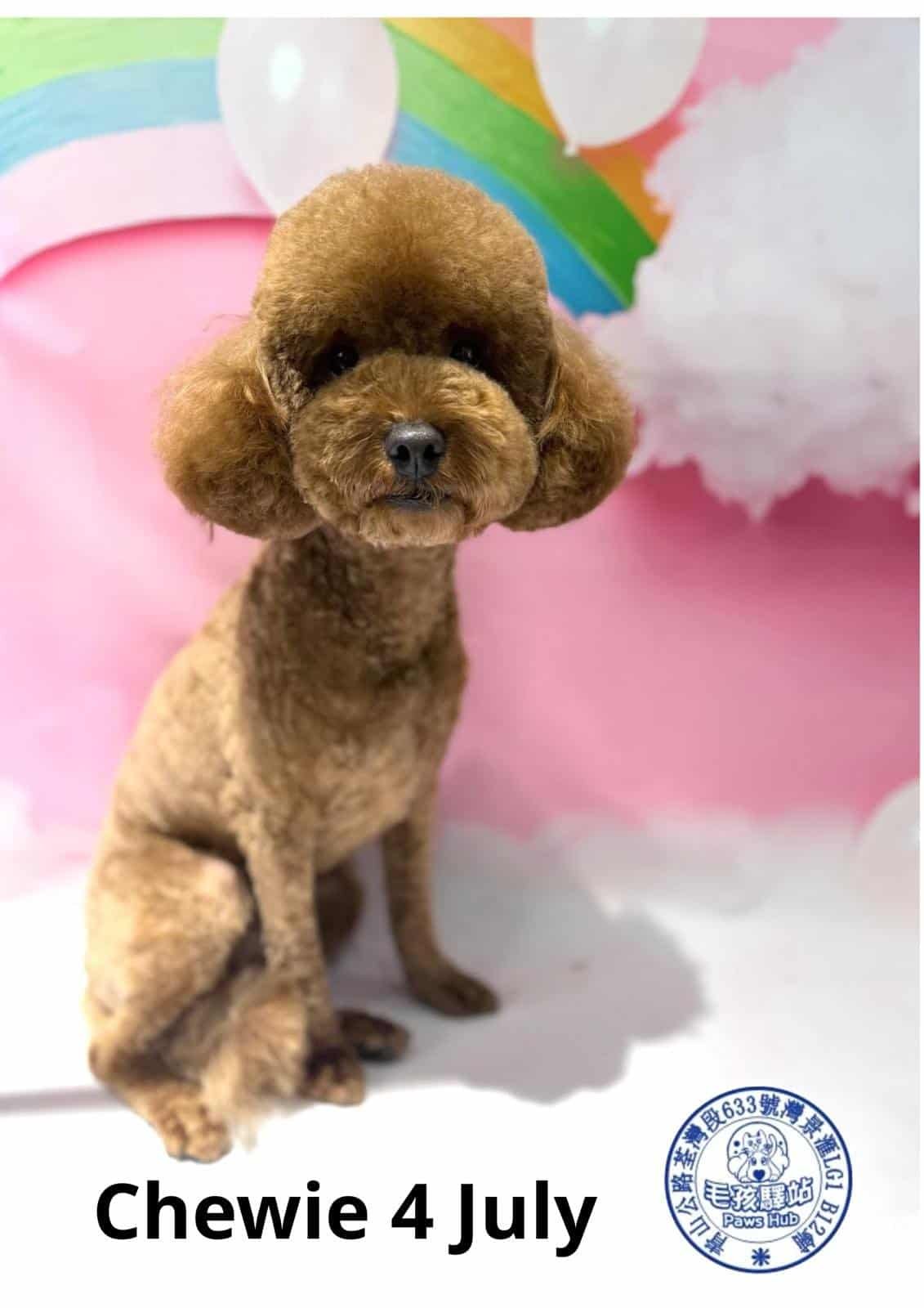 Dog Group No.22